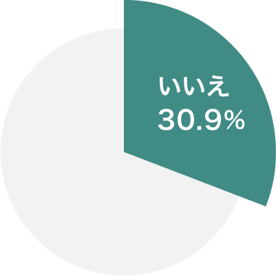 いいえ 30.9%